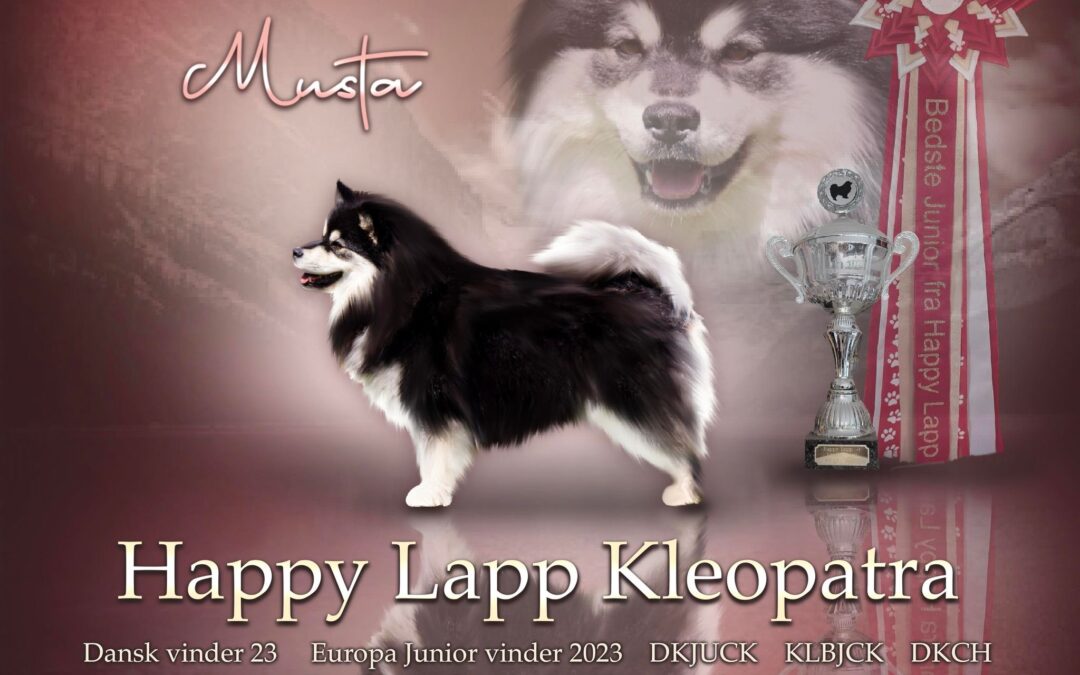 Happy Lapp Kleopatra