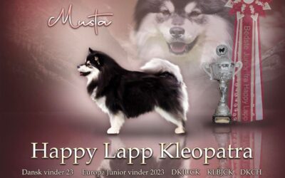 Happy Lapp Kleopatra 2023