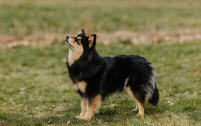 Raiddokas Bette( Suvi)