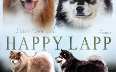 Happy Lapp Kleopatar & Tuuliajo av Vintervidda