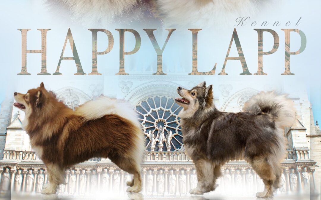 Happy Lapp  Taito & Happy Lapp Muru ( Essi)( Klokkere fra Nortra dame )