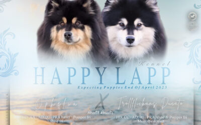 Ophelia & (Trollflickans Ducato) Soul ( Moana)