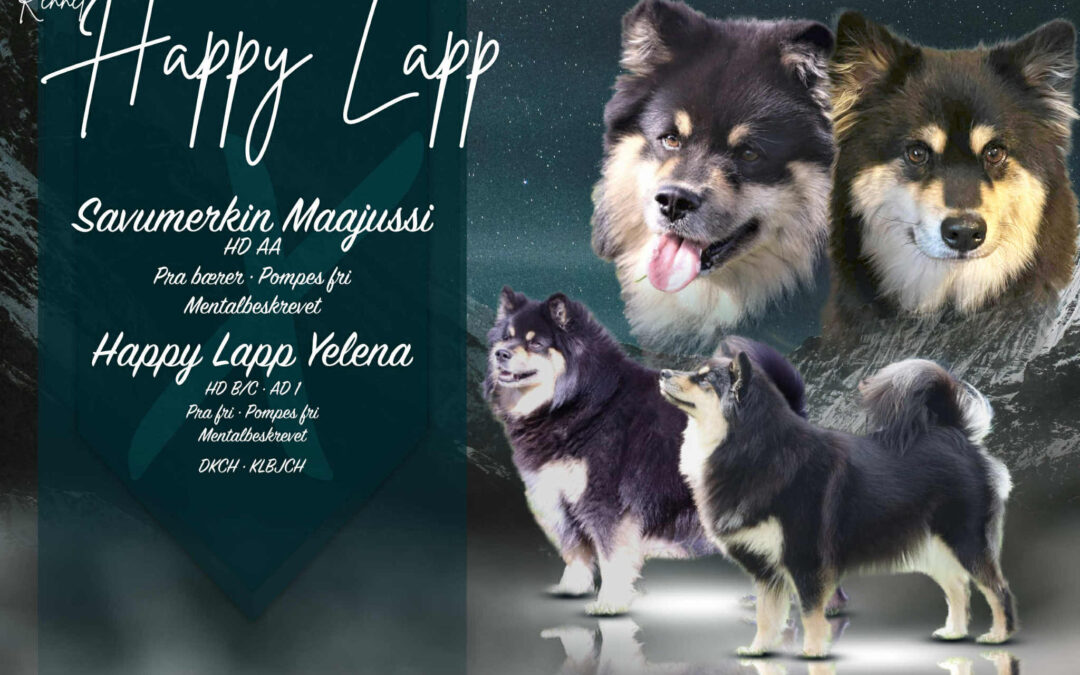 Happy Lapp Yelena  &  Savumerkin Maajussi