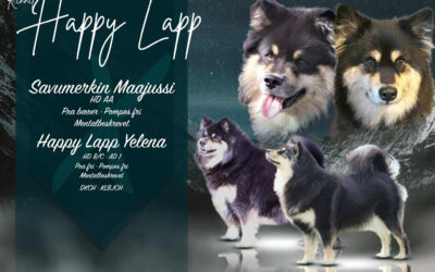 Happy Lapp Yelena  &  Savumerkin Maajussi