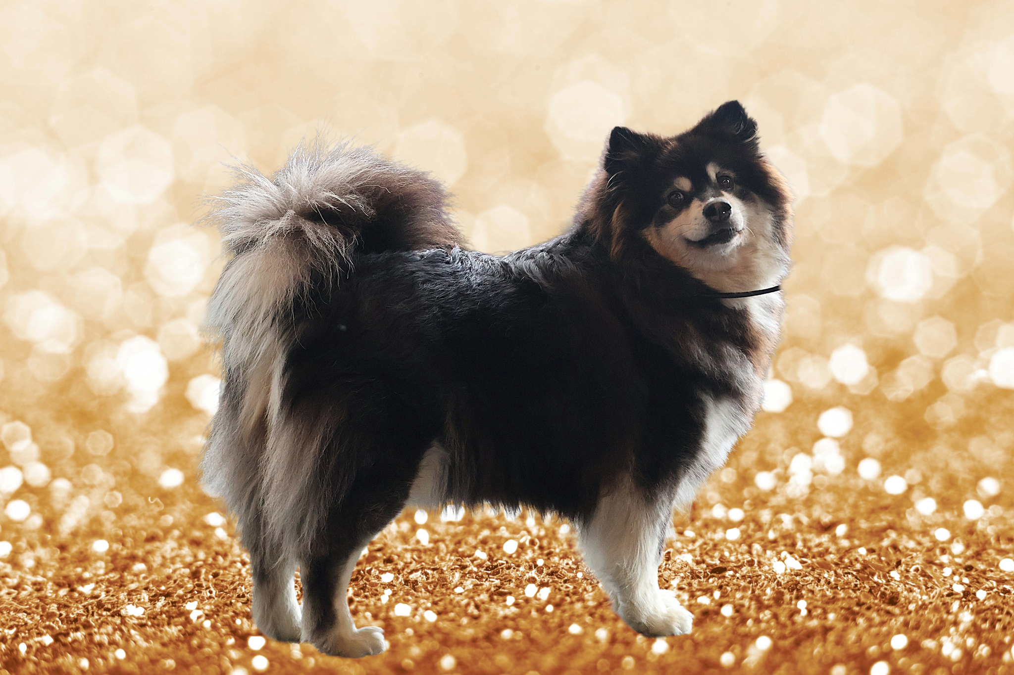 557635284_10239155192321697_8078900025592122151_n