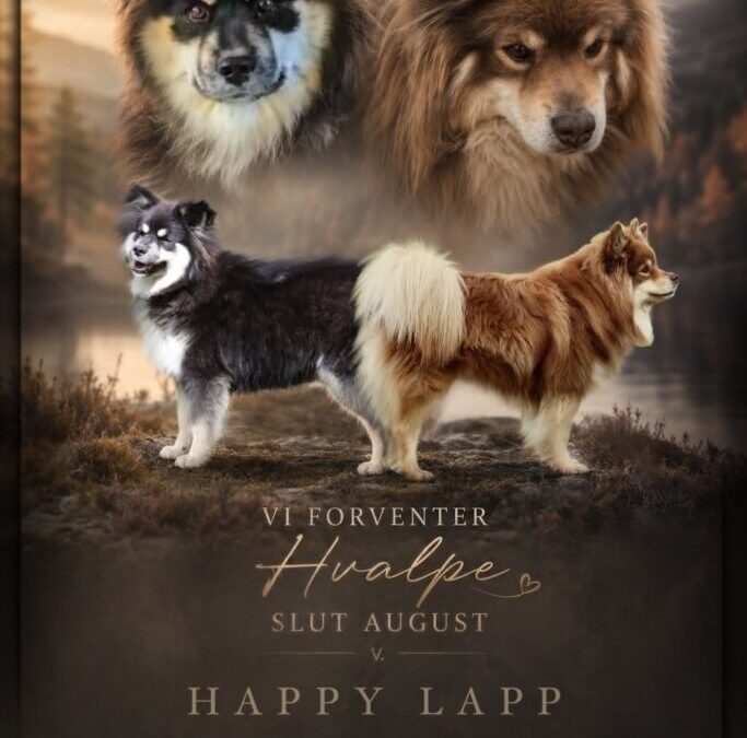 Happy Lapp Brian  & Happy Lapp Dory